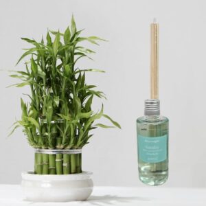 Difusor Bambu