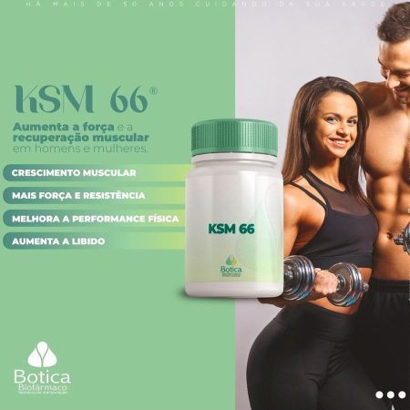 KSM 66